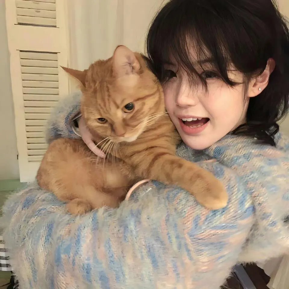 破晓时分2019