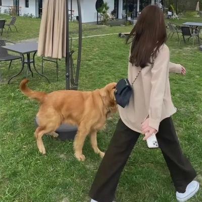 沙漠中的最后时日